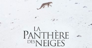 'La panthère des neiges' (El leopardo de las nieves / The Velvet Queen), en Histerias de Cine